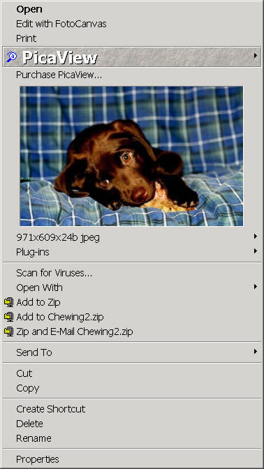 PicaView Screenshot
